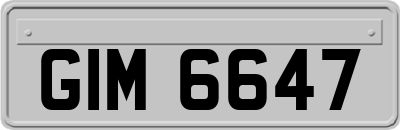 GIM6647