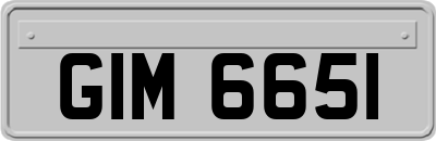 GIM6651