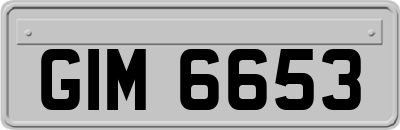 GIM6653
