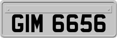GIM6656