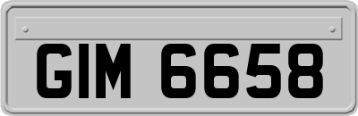 GIM6658
