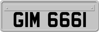 GIM6661