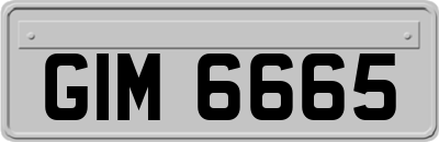 GIM6665