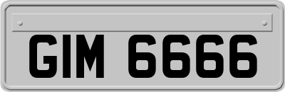GIM6666