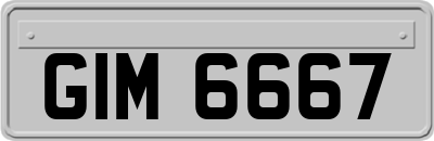 GIM6667