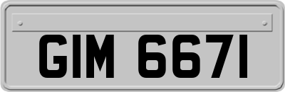 GIM6671