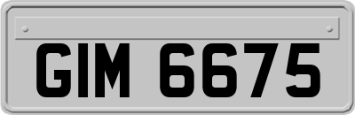 GIM6675