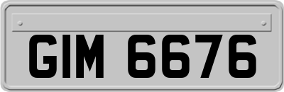 GIM6676