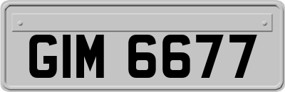 GIM6677