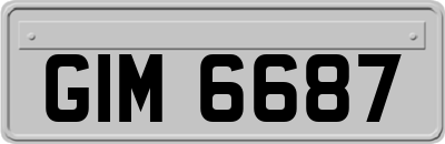GIM6687