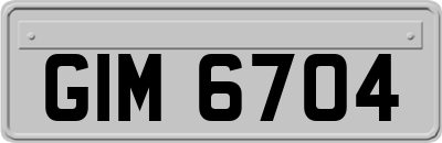 GIM6704