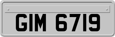 GIM6719