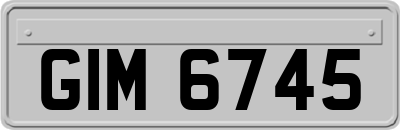 GIM6745
