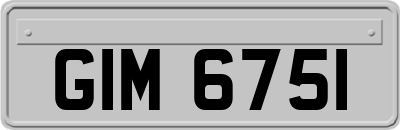 GIM6751