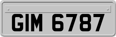 GIM6787