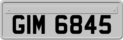 GIM6845