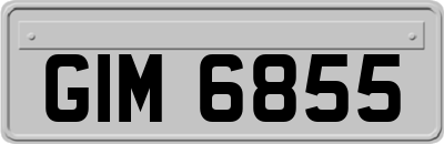 GIM6855
