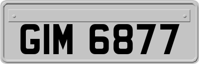 GIM6877