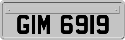 GIM6919