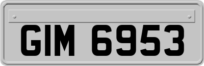 GIM6953