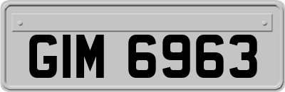 GIM6963