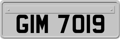 GIM7019
