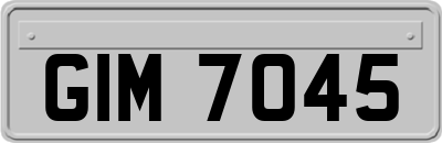 GIM7045