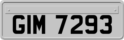 GIM7293