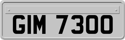 GIM7300