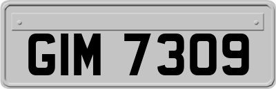 GIM7309