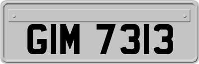 GIM7313