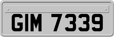 GIM7339