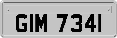 GIM7341
