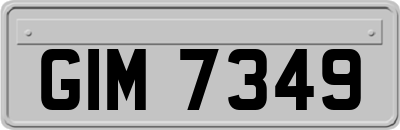 GIM7349