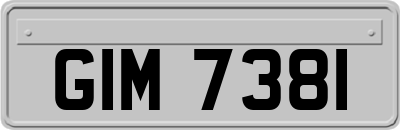 GIM7381