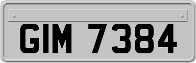 GIM7384