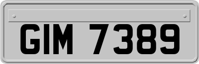 GIM7389