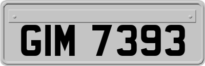 GIM7393