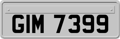 GIM7399