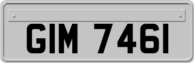 GIM7461
