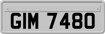 GIM7480