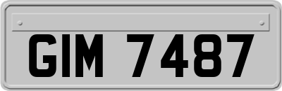 GIM7487