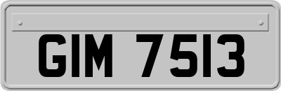 GIM7513