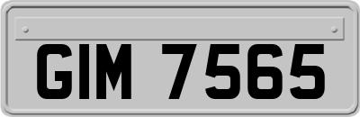 GIM7565