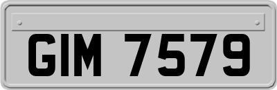 GIM7579