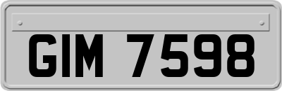 GIM7598