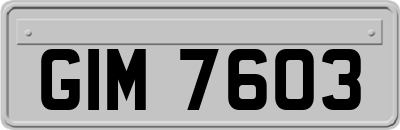 GIM7603