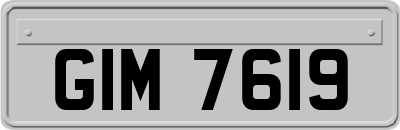 GIM7619