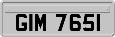 GIM7651