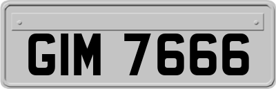 GIM7666